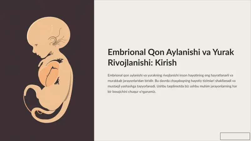 Embrional Qon Aylanishi va Yurak Rivojlanishi: Kirish 1