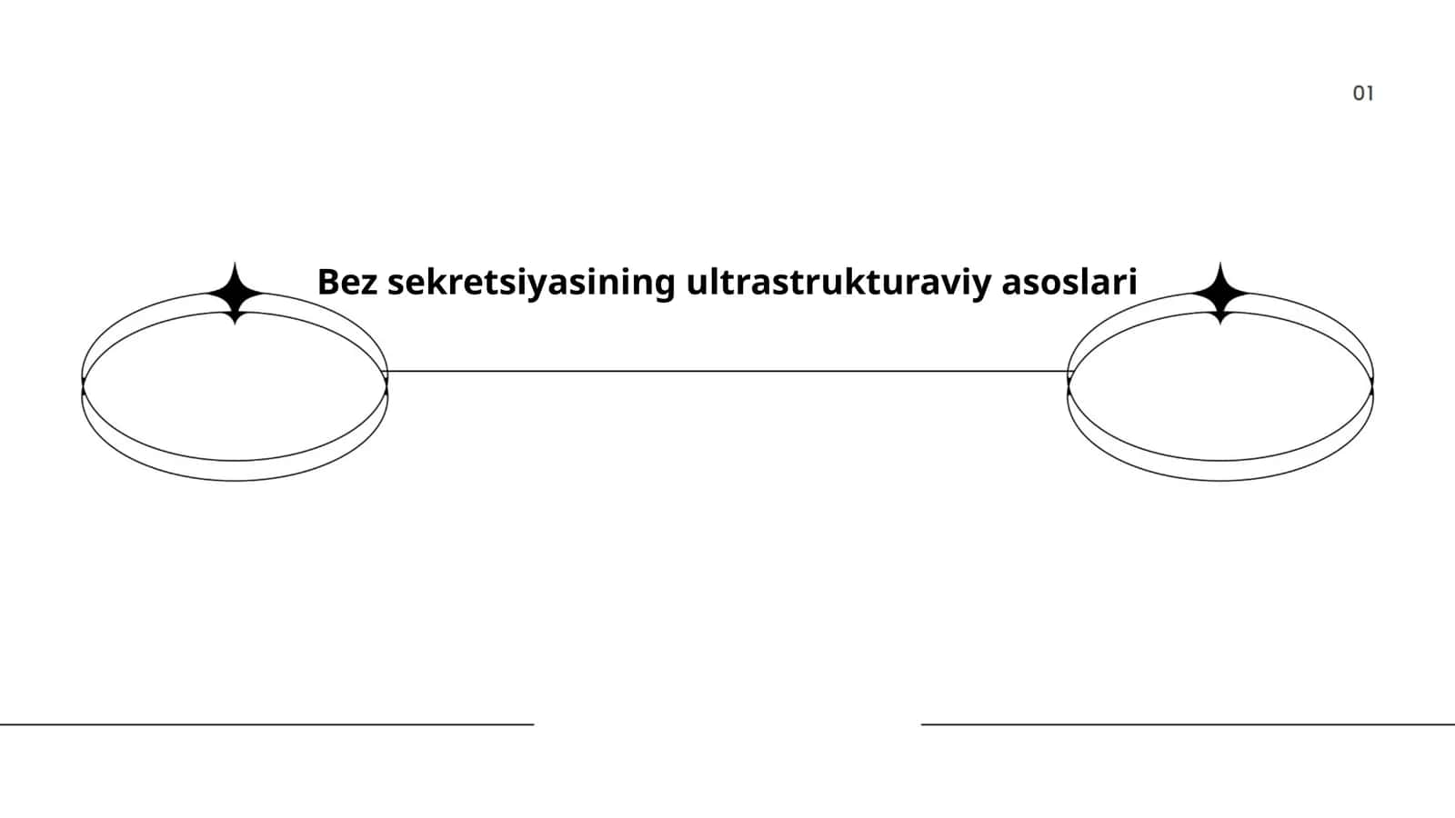 Bez sekretsiyasining ultrastrukturaviy asoslari 1