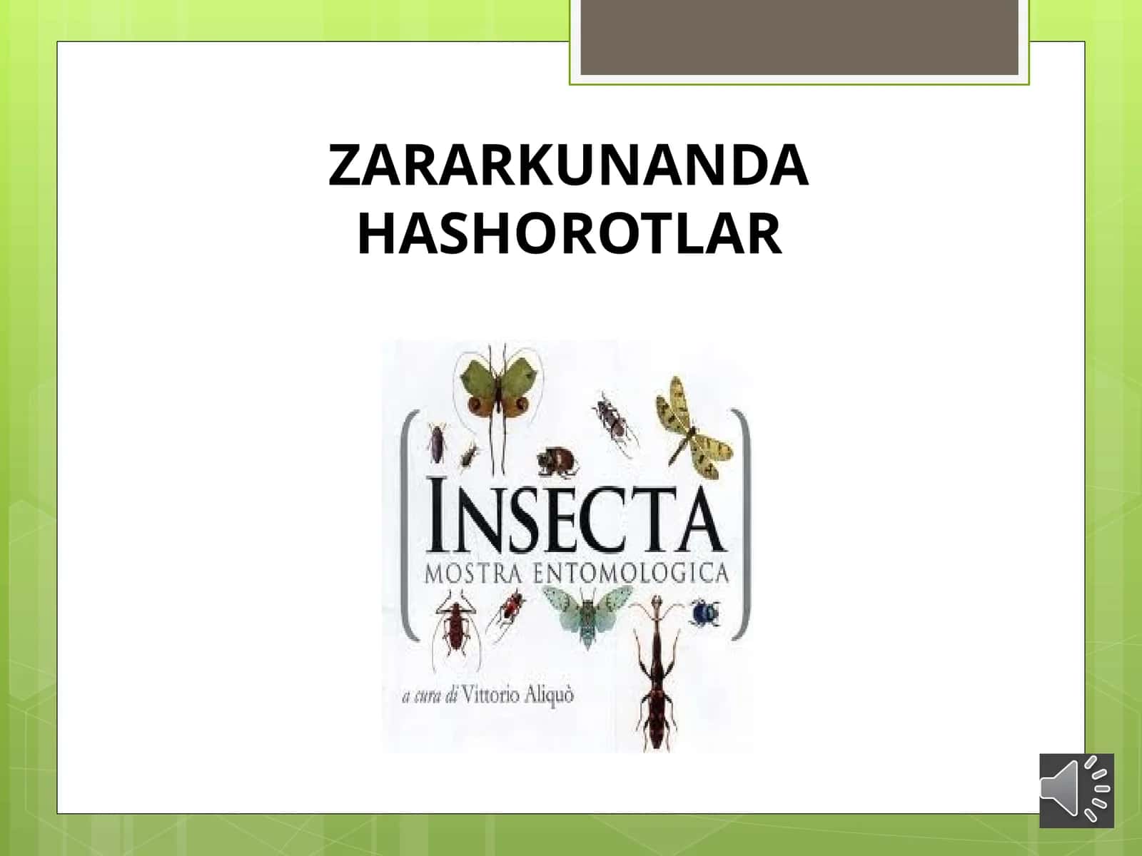 ZARARKUNANDA HASHOROTLAR 1