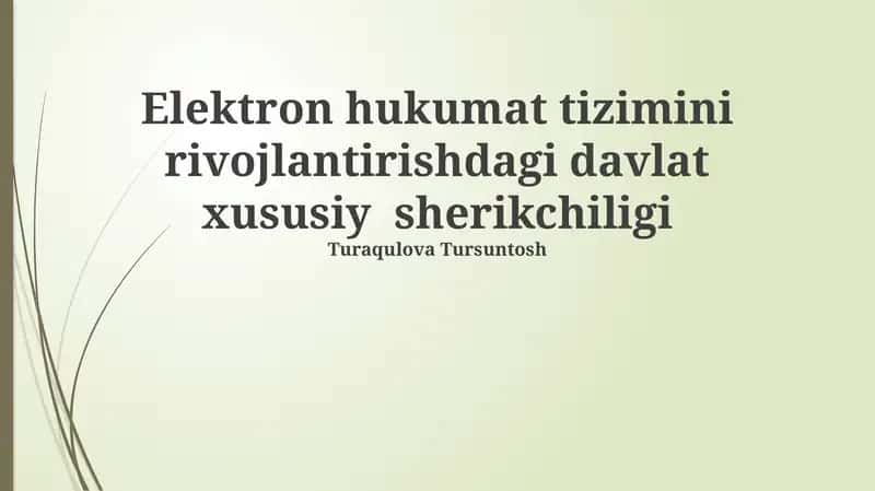 Elektron hukumat tizimini rivojlantirishdagi davlat xususiy sherikchiligi 1