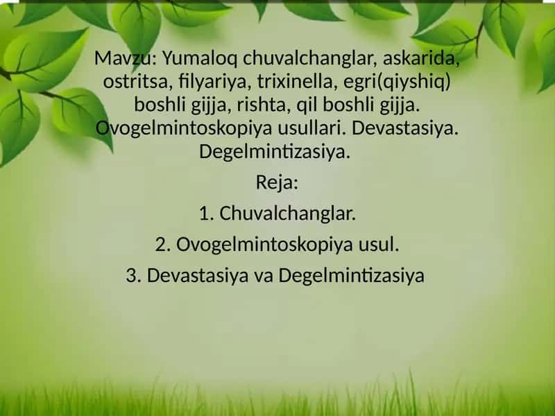 Yumaloq chuvalchanglar, askarida, ostritsa, filyariya, trixinella, egri(qiyshiq) boshli gijja, rishta, qil boshli gijja. Ovogelmintoskopiya usullari. Devastasiya. Degelmintizasiya 1