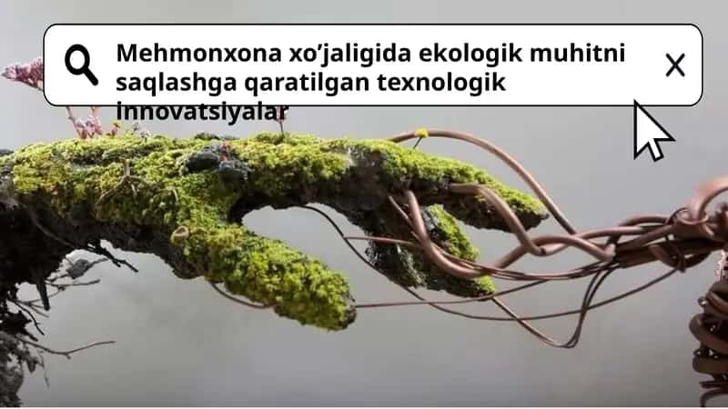 Mehmonxona xo’jaligida ekologik muhitni saqlashga qaratilgan texnologik innovatsiyalar 1