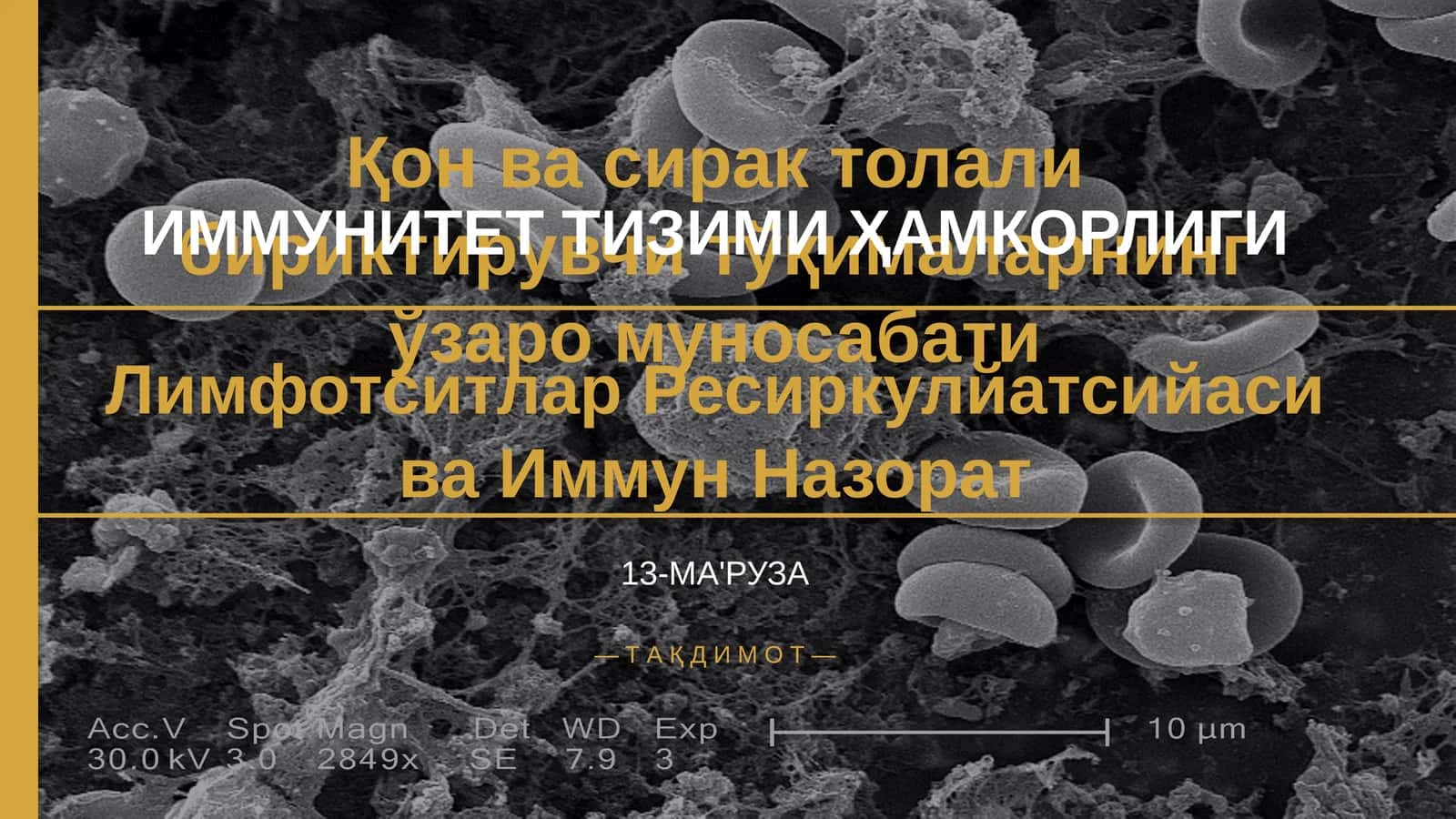 ИММУНИТЕТ ТИЗИМИ ҲАМКОРЛИГИ 1