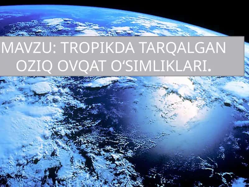 TROPIKDA TARQALGAN OZIQ OVQAT OʻSIMLIKLARI. 1