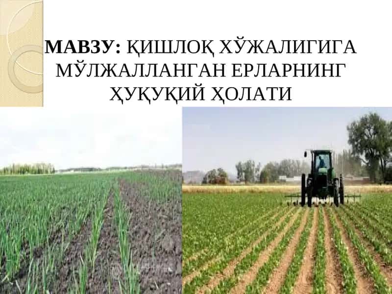 Қишлоқ Хўжалигига Мўлжалланган Ерларнинг Ҳуқуқий Ҳолати 1