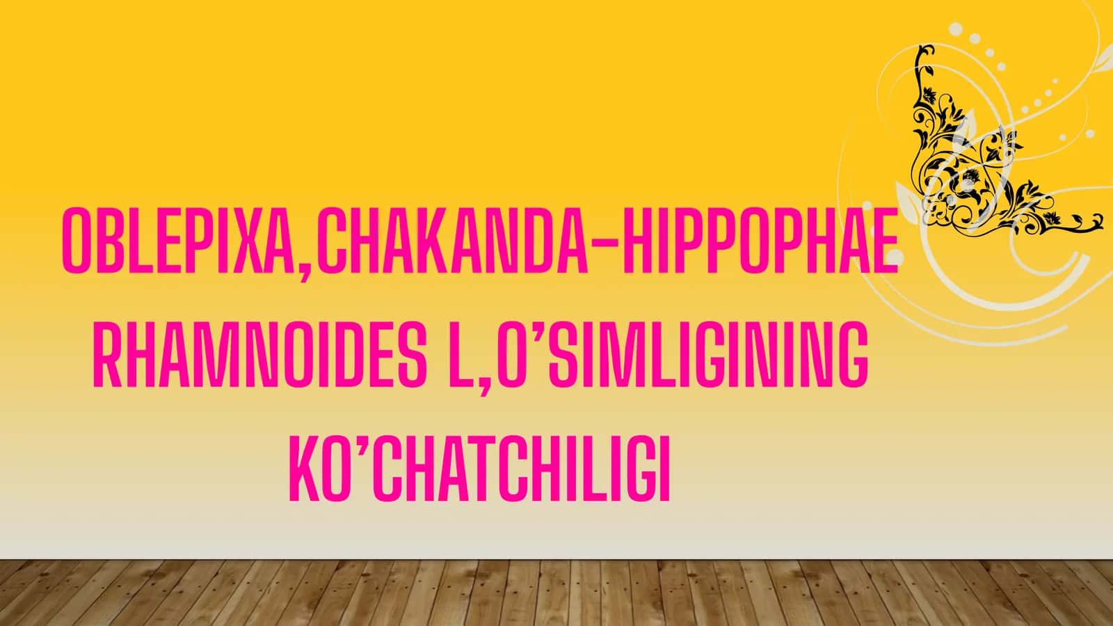 Oblepixa-Hippophae rhamnoides L o'simligi 1