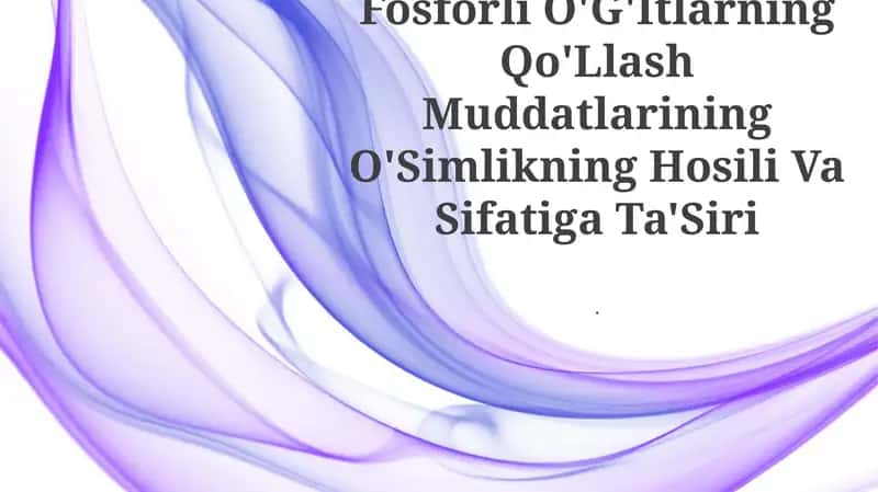 Fosforli O'G'Itlarning Qo'Llash Muddatlarining O'Simlikning Hosili Va Sifatiga Ta'Siri 1