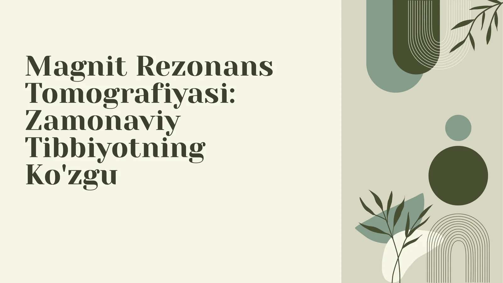 Magnit Rezonans Tomografiyasi 1