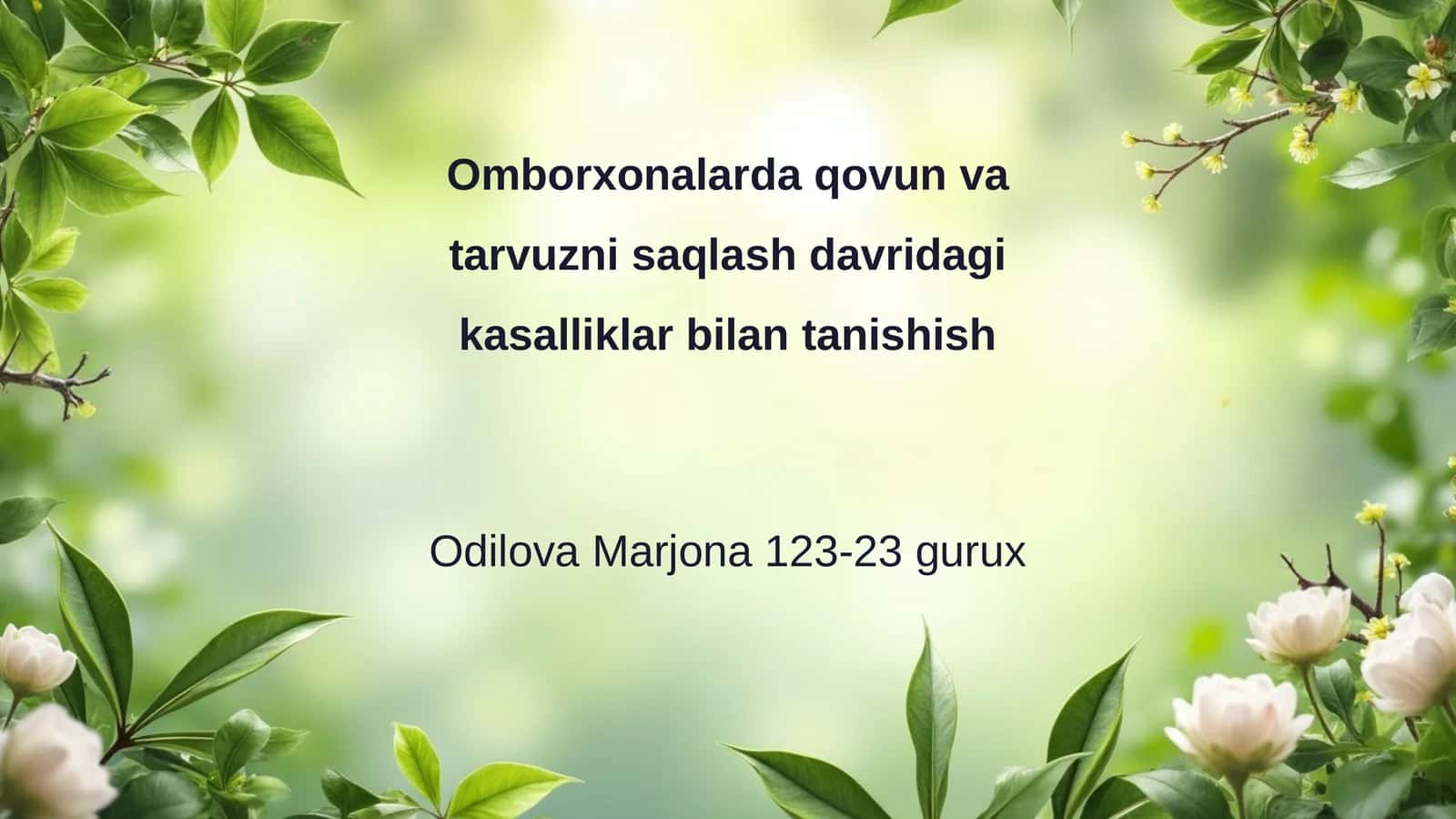 Omborxonalarda qovun va tarvuzni saqlash davridagi kasalliklar bilan tanishish 1