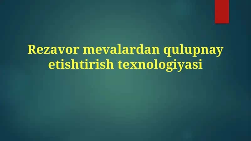 Rezavormevalardanqulupnayеtishtirishtexnologiyasi 1