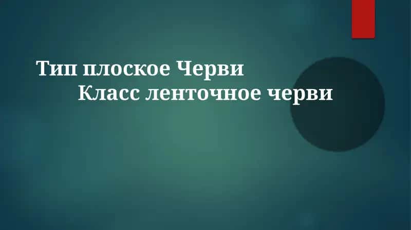 Морфология и физиология ленточных червей 1