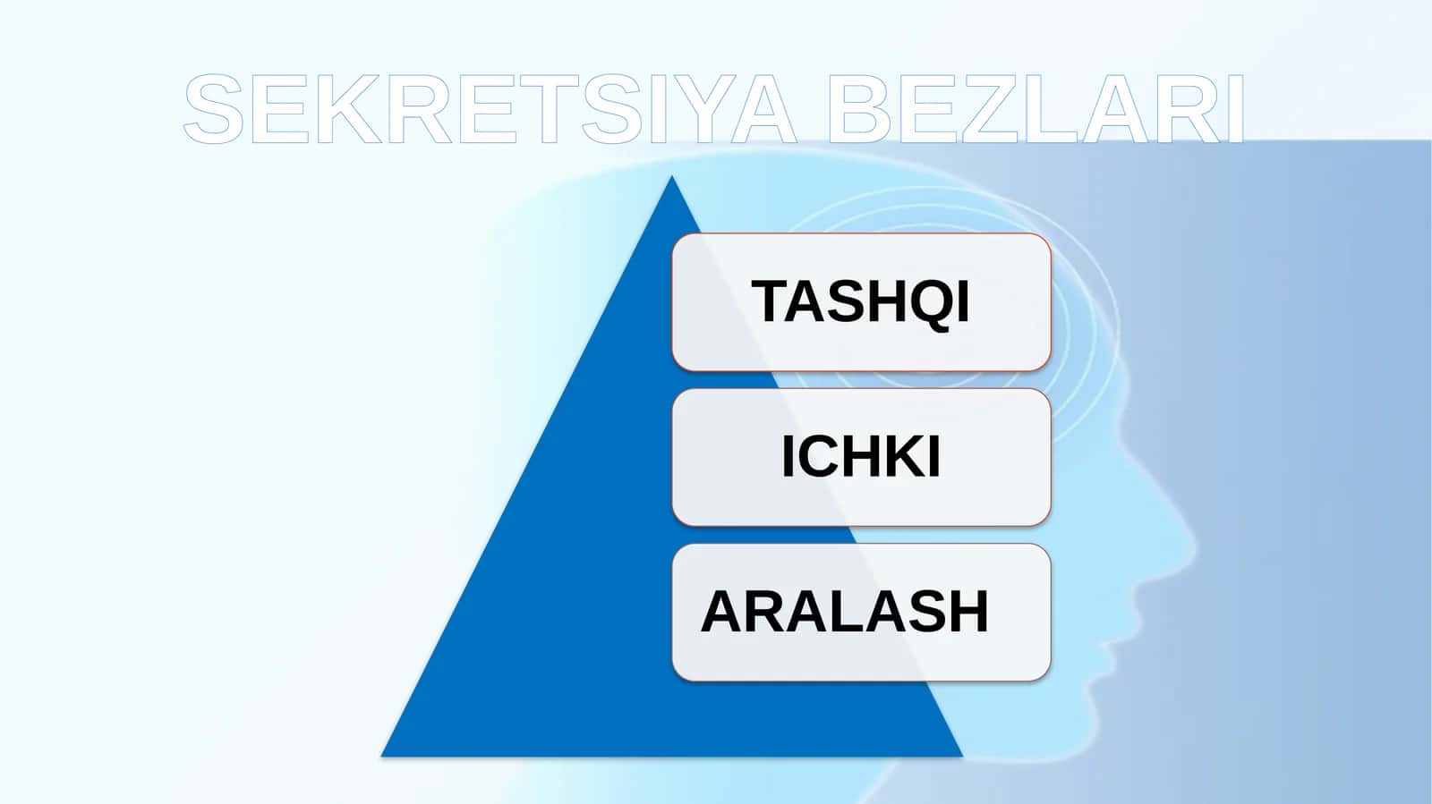 TASHQI SEKRETSIYA BEZLARI 1
