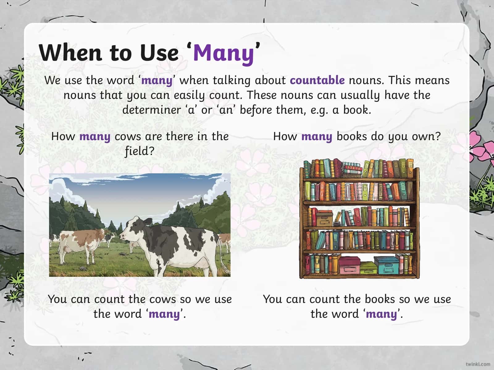 Using 'Many' and 'Much' in English Grammar 1