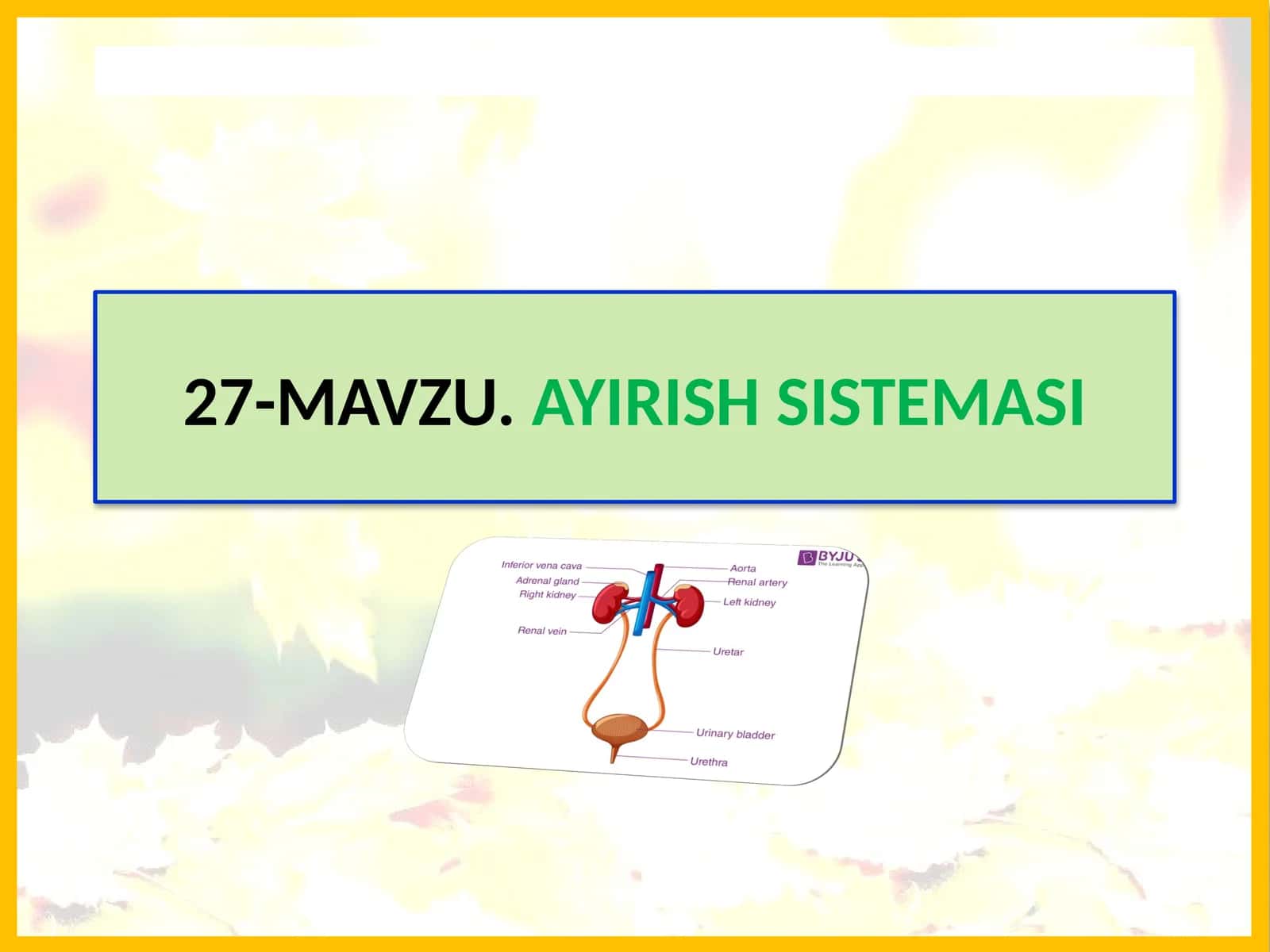 Mavzu.Ayirish Sistemi 1