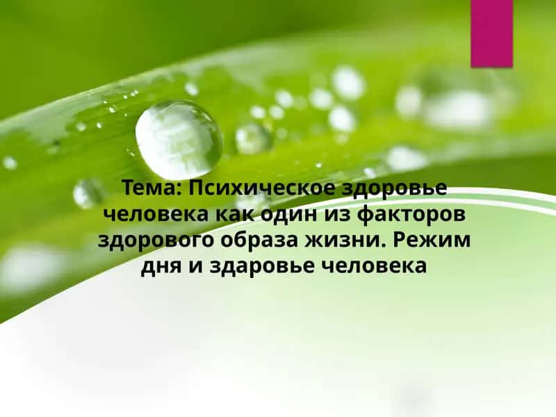 Психическое здоровье человека как один из факторов здорового образа жизни. Режим дня и здаровье человека 1