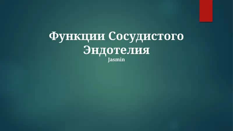 Функции Сосудистого Эндотелия 1