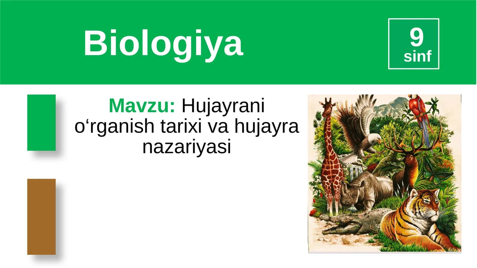 Mavzu:Hujayranio‘rganishtarixivahujayranazariyasi 1
