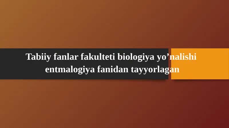 Hasharotlar fiziologiyasi 1