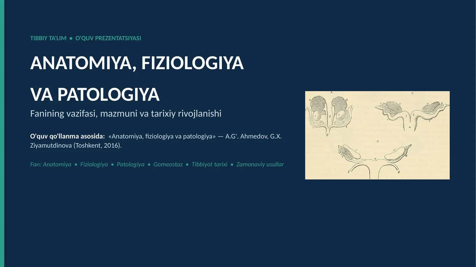 Anatomiya, fiziologiya va patologiya fani vazifasi, tarixi. Slayd 1