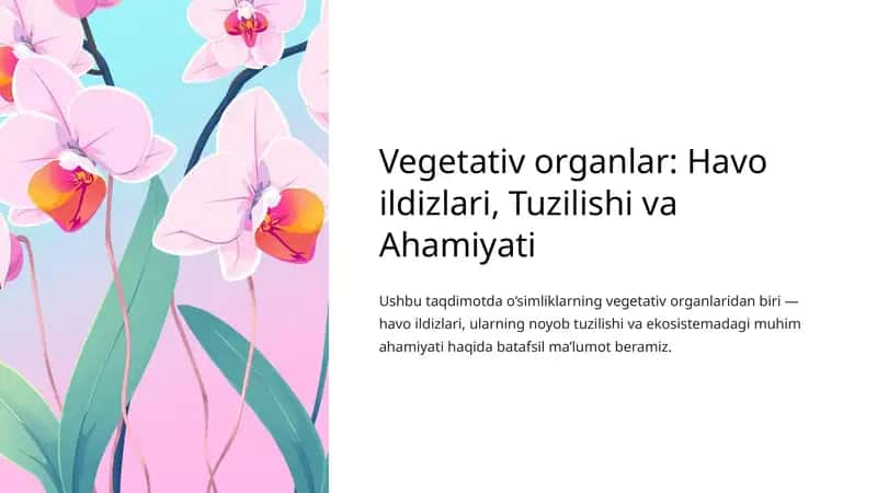 Vegetativ organlar: Havo ildizlari, Tuzilishi va Ahamiyati 1