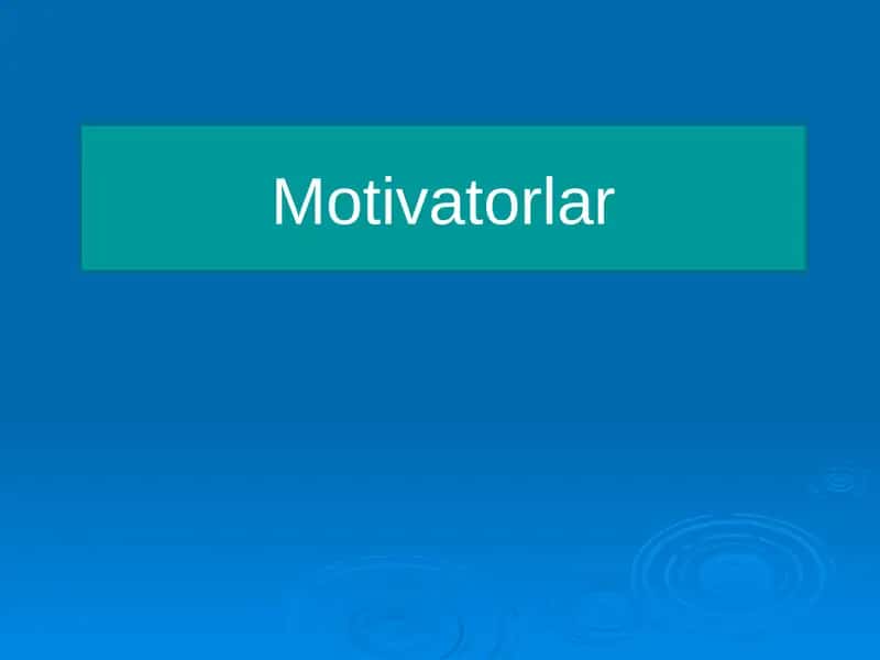 Motivatorlar 1