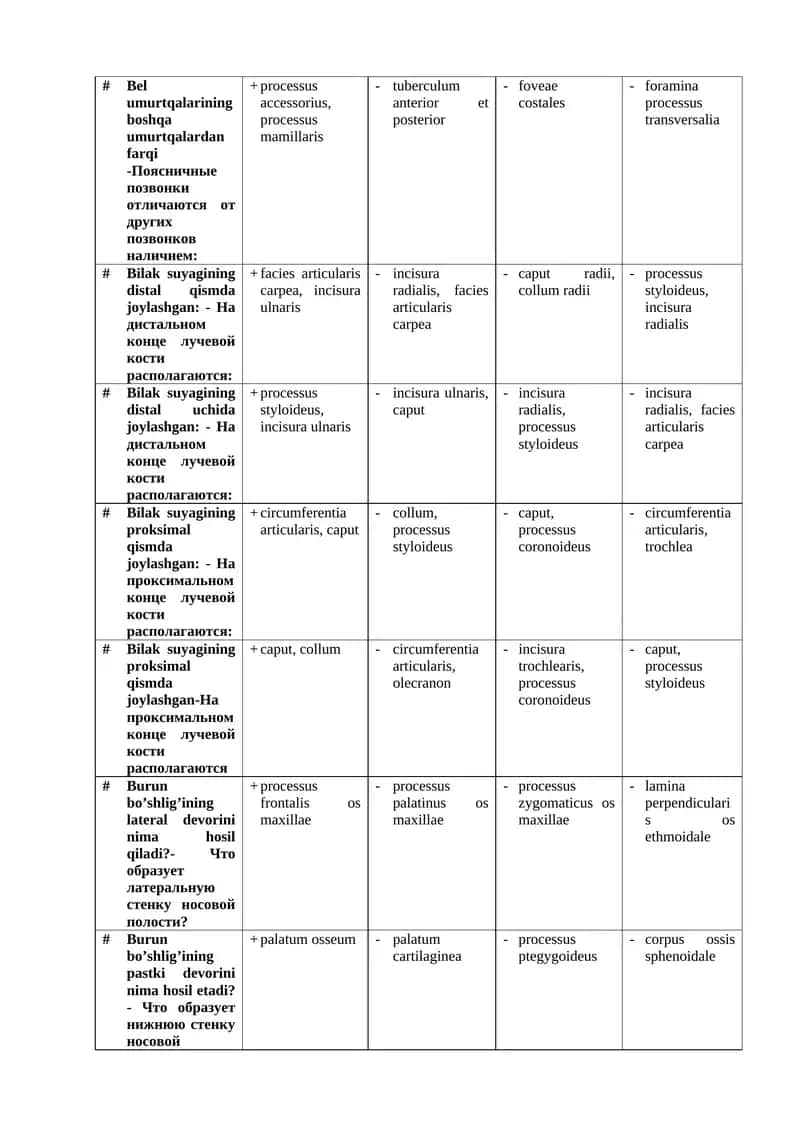Bilak suyagi anatomiya 1