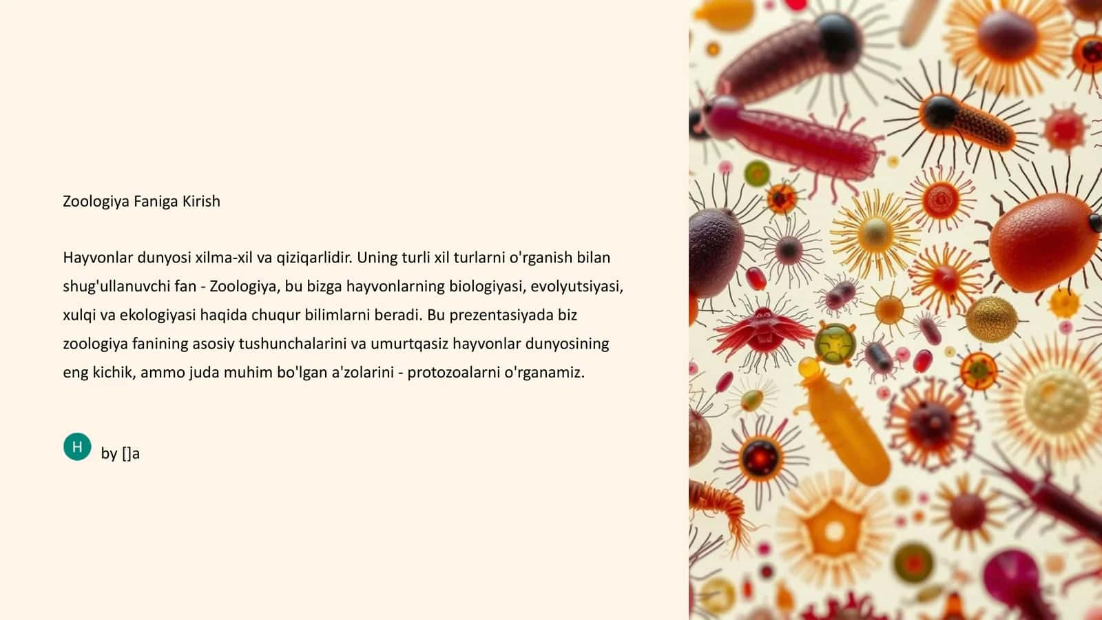 Umurtqasizlar: Hayvonlar Dunyosining Xilma-xilligi 1