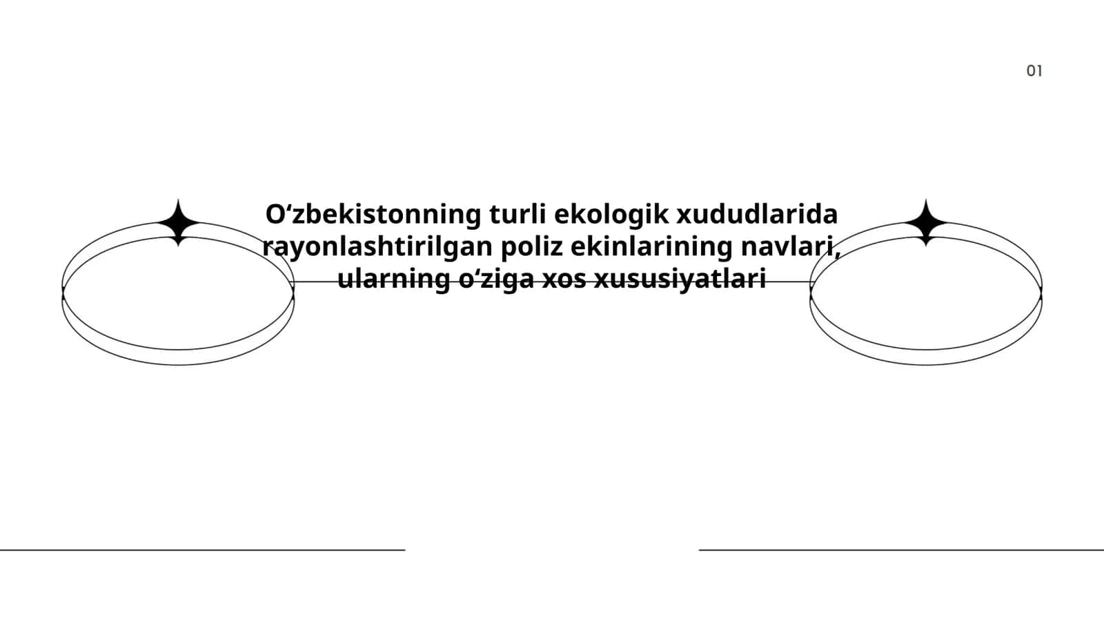 Oʻzbekistonning turli ekologik xududlarida rayonlashtirilgan poliz ekinlarining navlari, ularning oʻziga xos xususiyatlari 1