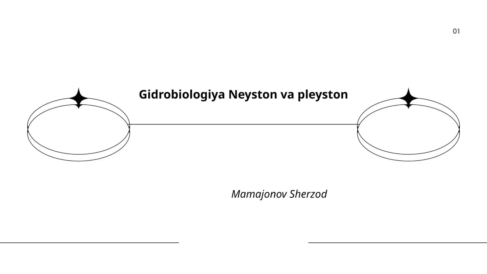 Gidrobiologiya Neyston va pleyston 1