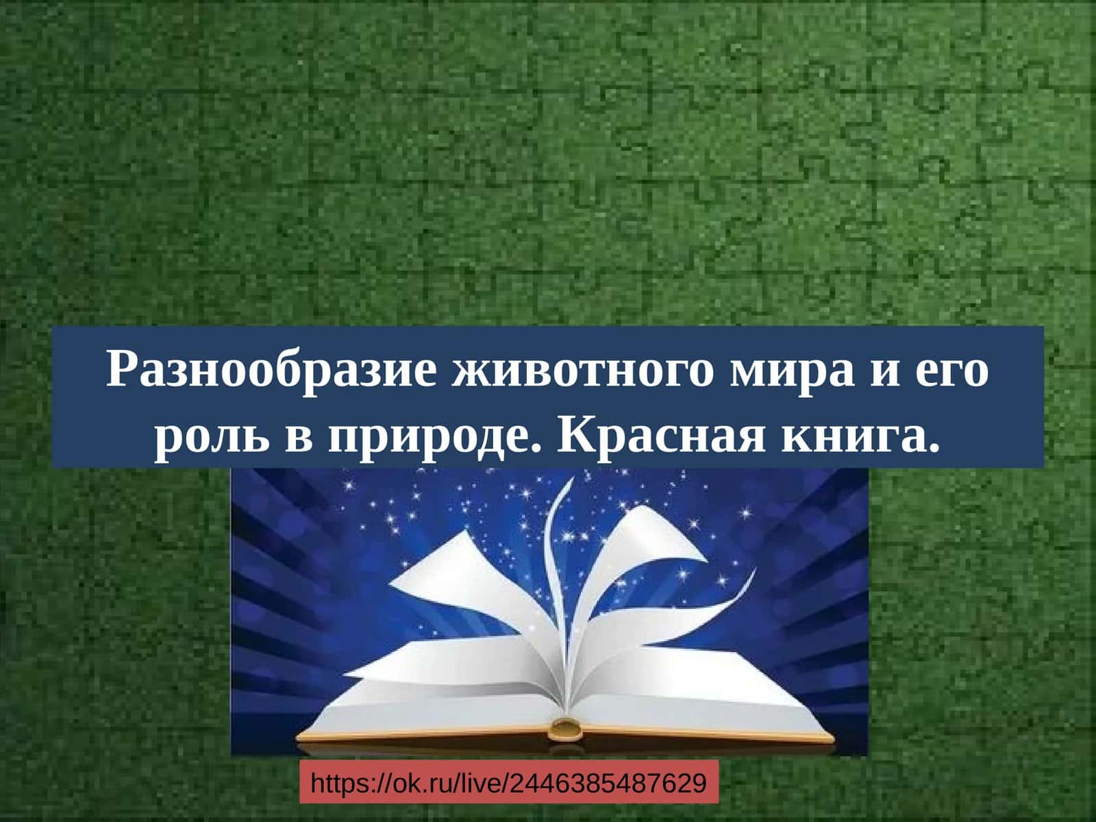 Разнообразие животного мира и его роль в природе. Красная книга 1