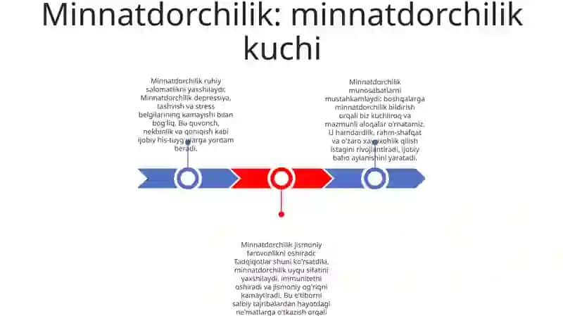Minnatdorchilik