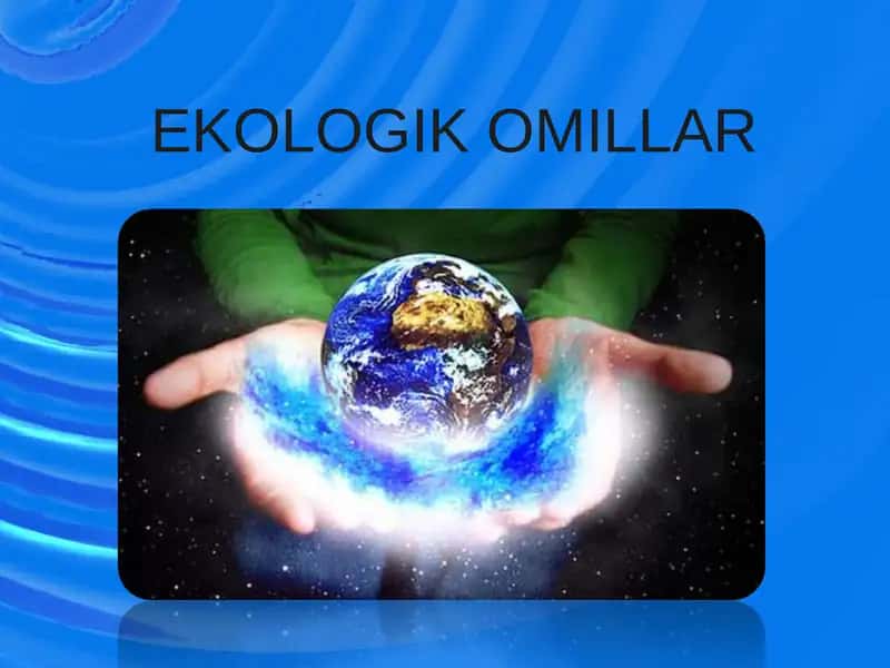 EKOLOGIK OMILLAR 1