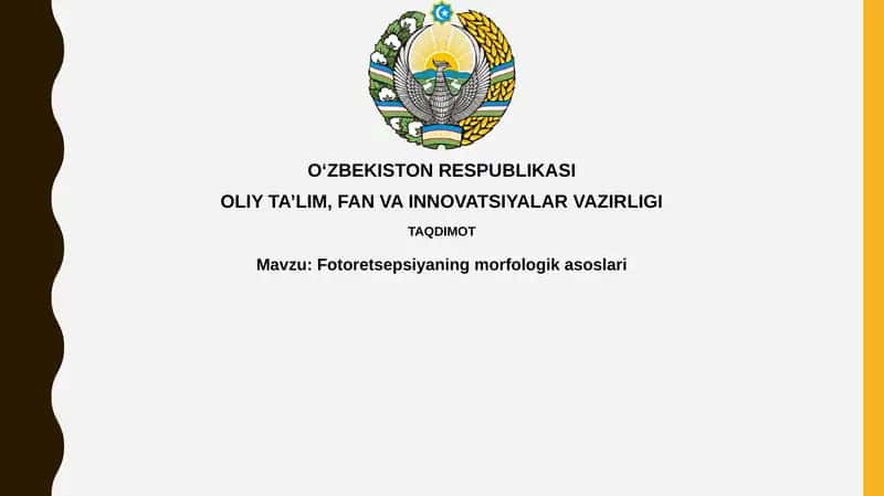 Fotoretsepsiyaningmorfologikasoslari 1