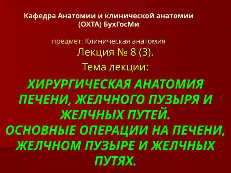 Хирургическая анатомия печени