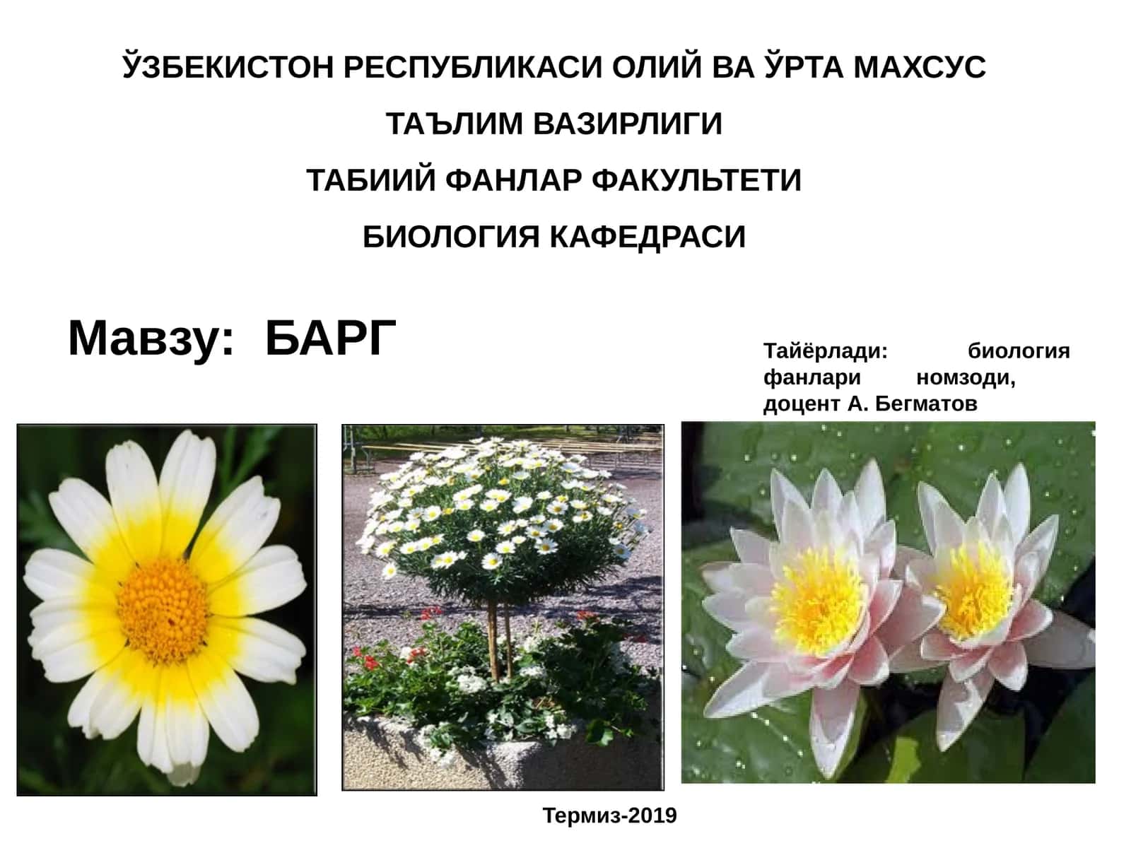 БАРГ 1