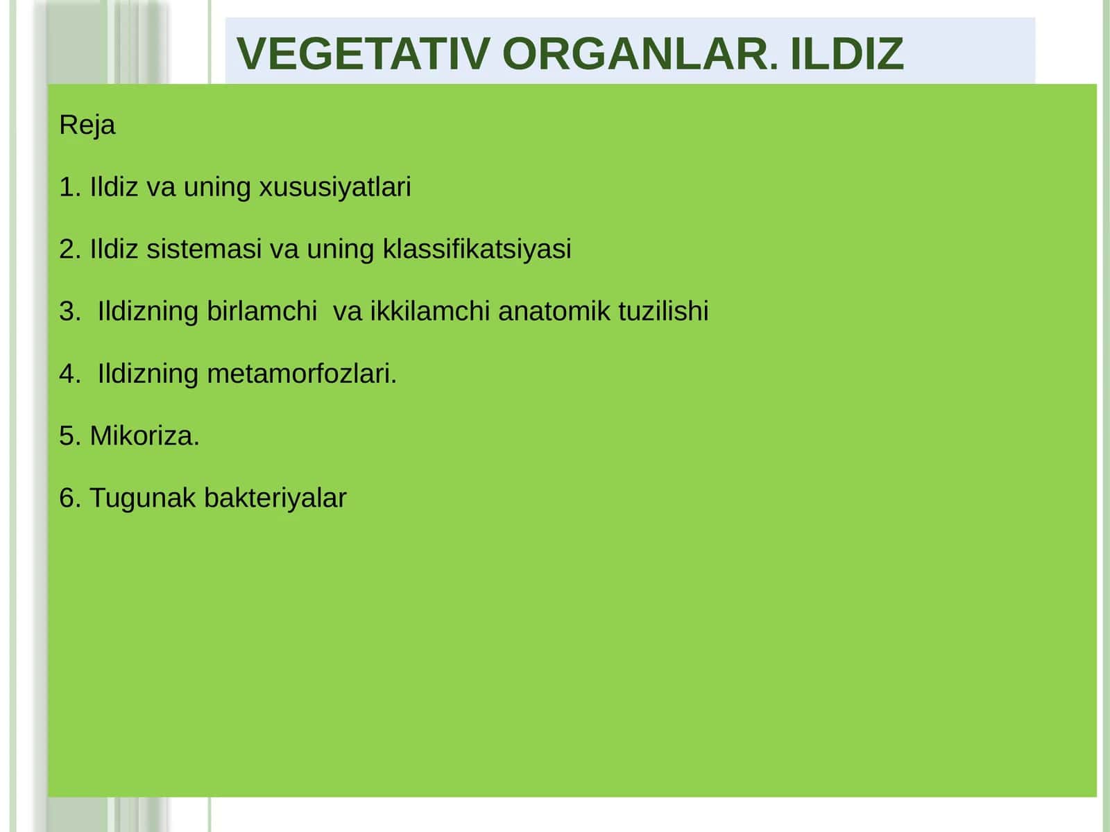 Vegetativ organlar. Ildiz 1