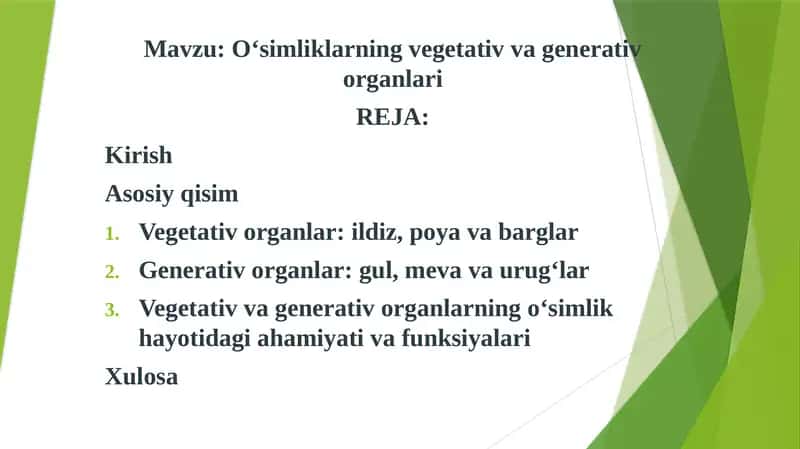 O‘simliklarning vegetativ va generativ organlari 1