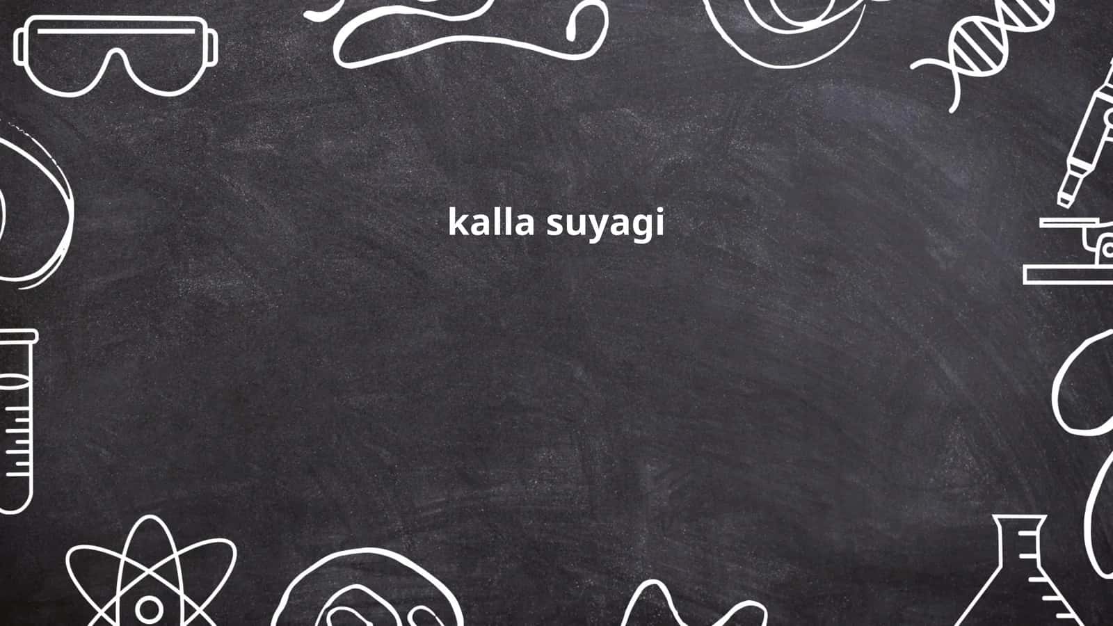 Kalla suyagi 1