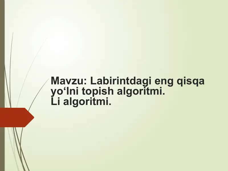 Labirintdagi eng qisqa yo'lni topish algoritmi 1