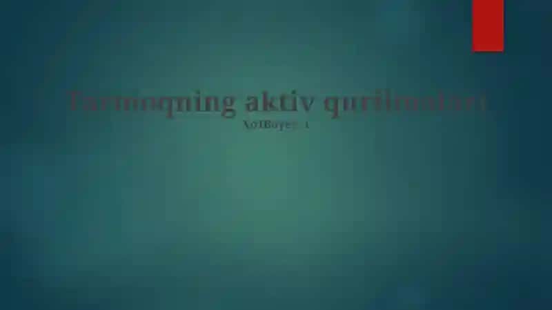 Tarmoqning aktiv qurilmalari