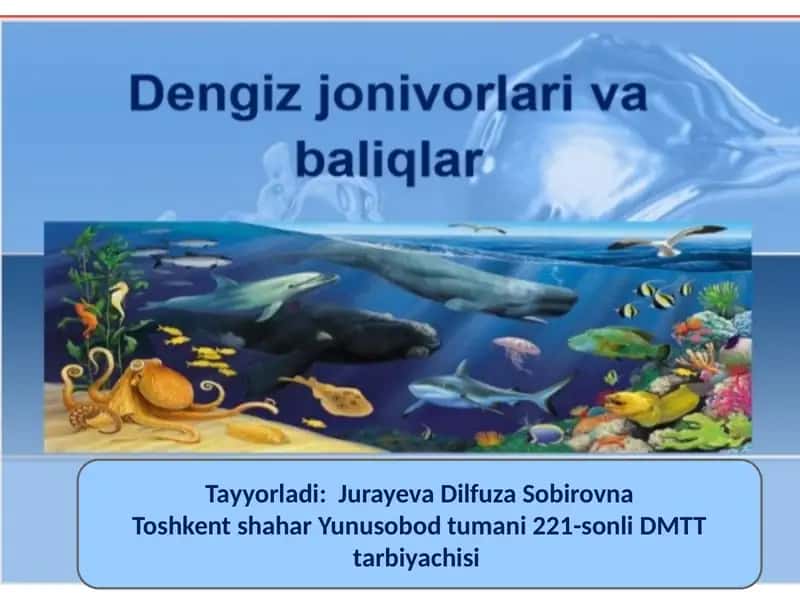Jurayeva Dilfuza Sobirovna 1