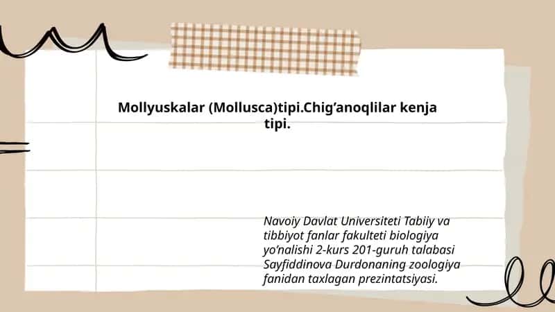 Mollyuskalar (Mollusca)tipi 1