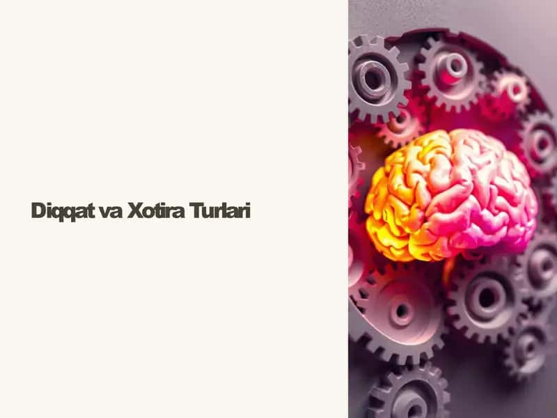 Diqqat va Xotira Turlari 1