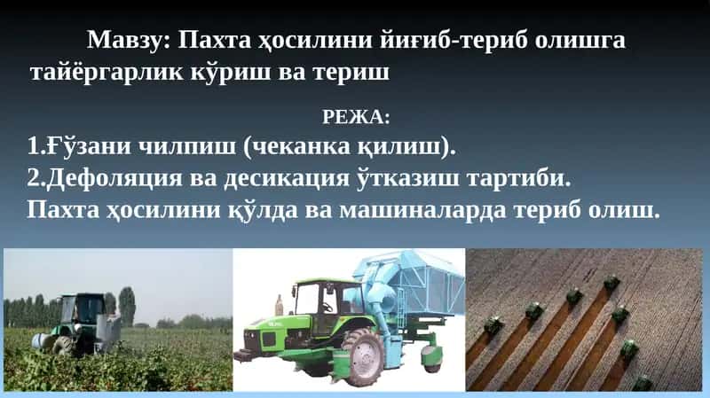 Пахта ҳосилинийиғиб-териб олишга тайёргарлик кўриш ва териш 1