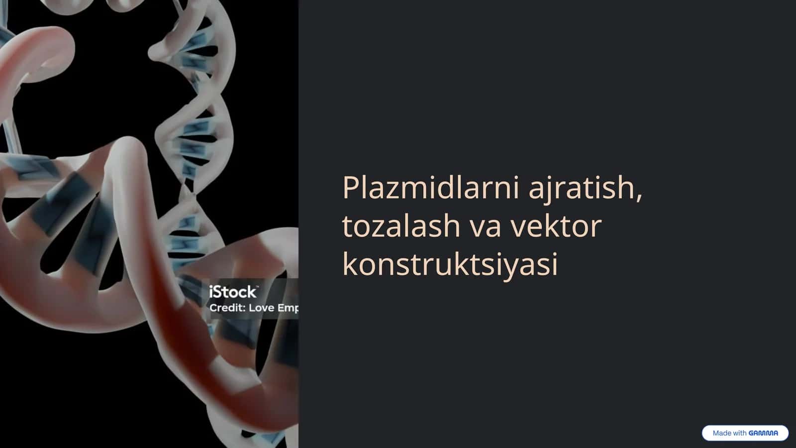 Plazmidlarni ajratish, tozalash va vektor konstruktsiyasi 1