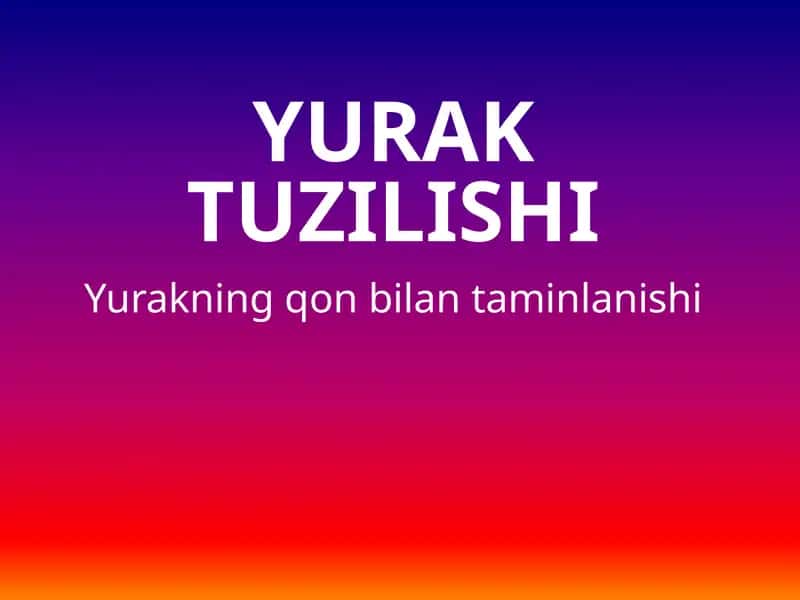 Yuraktuzilishi 1
