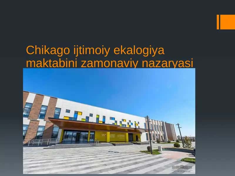 Chikago Ijtimoiy Ekologiya Maktabi Naza Ryasi 1