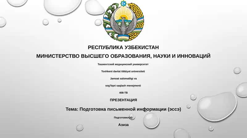 Подготовка письменной информации (эссэ) 1