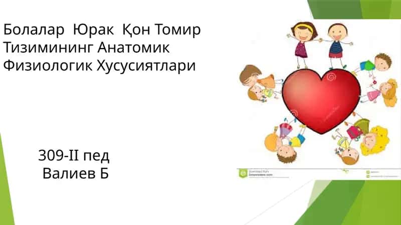 Болалар Юрак Қон Томир Тизимининг Анатомик Физиологик Хусусиятлари 1