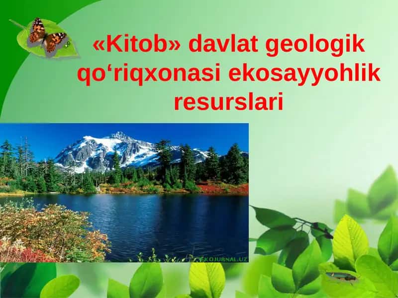 "Kitob” davlat qo‘riqxonasi 1